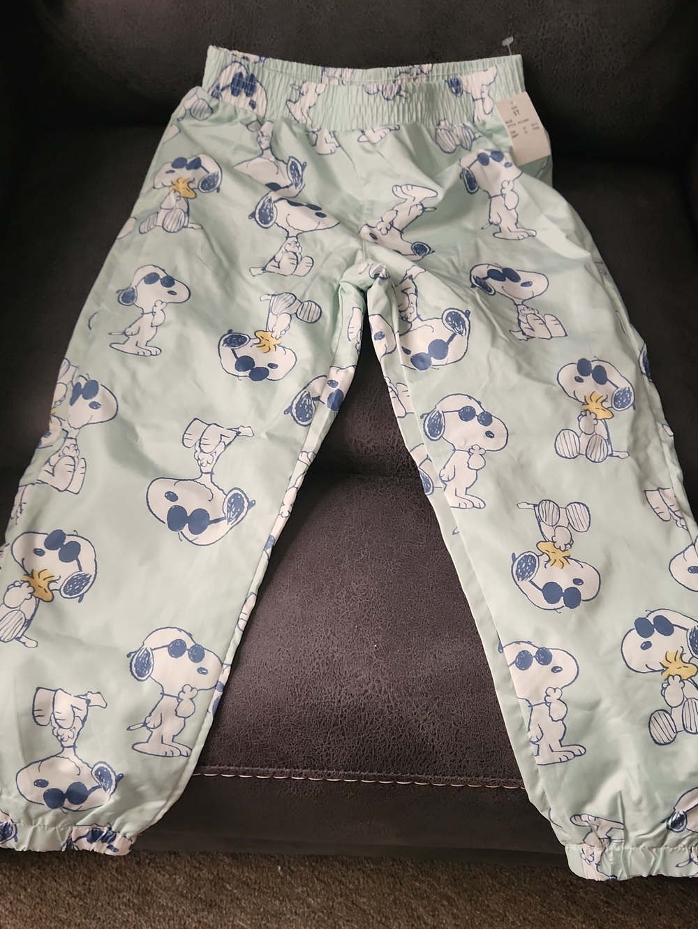 PEANUTS Snoopy Print Light Green Windbreaker Pants